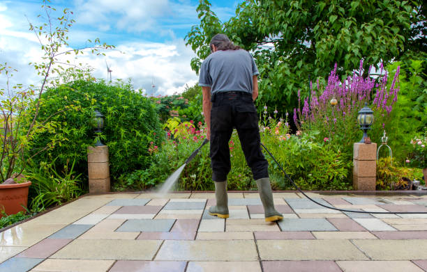 Best Driveway Pressure Washing  in Marion, WI